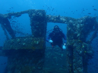 diver and coral reef