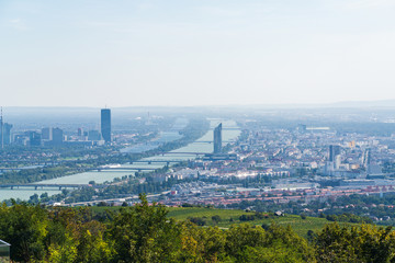 Vienna Aerial View in Summer end / beginning of Autumn/Fall. Vineyards visible in the foreground