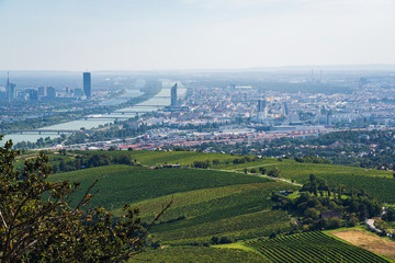 Vienna Aerial View in Summer end / beginning of Autumn/Fall. Vineyards visible in the foreground