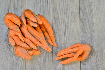 A pile of carrots of irregular shape on a gray wooden rustic background. Concept ugly vegetables