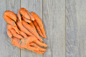 A pile of carrots of irregular shape on a gray wooden rustic background. Concept ugly vegetables