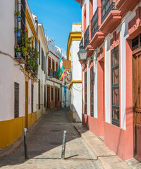 Fototapeta na wymiar Scenic sight in the picturesque Cordoba jewish quarter. Andalusia, Spain.