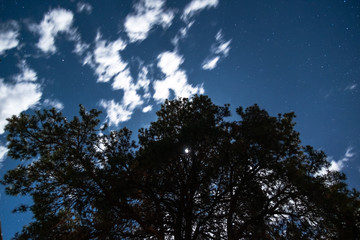 H.Babaletskos landscapes and more