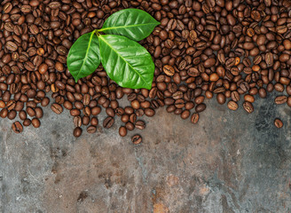 Coffee beans green leaves grungy metal background