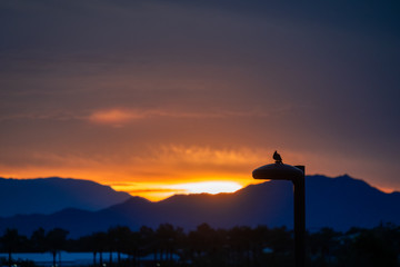 H.Babaletskos landscapes and more