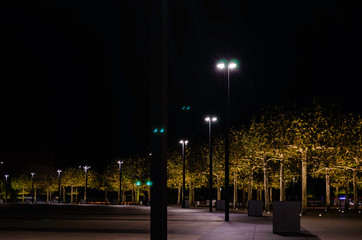 The trees in the Park are illuminated at night. Park in Krasnodar.