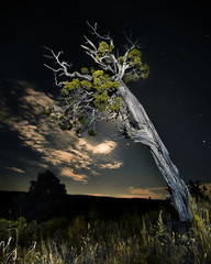 H.Babaletskos landscapes and more