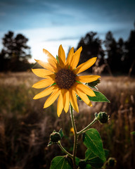 H.Babaletskos landscapes and more