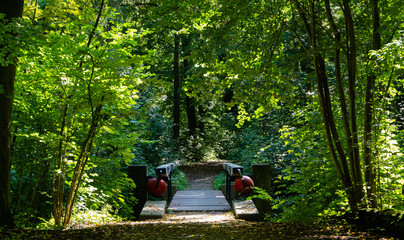 Bridge to green nature adventure