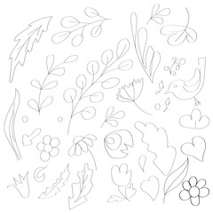 leaves branches flowers vector doodle