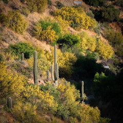 H.Babaletskos landscapes and more