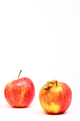 Three red eating apples isolated on a white background with space for copy