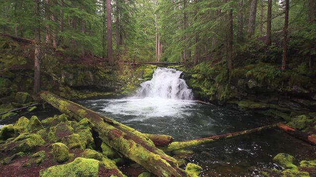 Whitehorse Falls in the Oregon Cascade mountains
