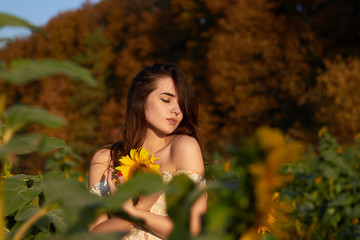 Beautiful lovely girl enjoying nature on a field of sunflowers. Sunlight plays on the field. Autumn time.