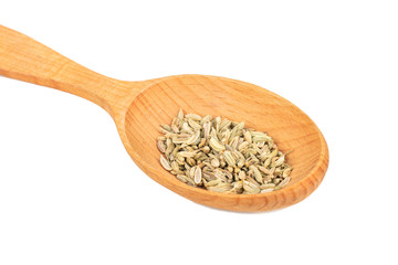 Dry fennel in spoon