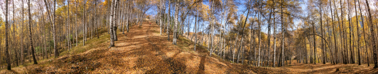 Allphotokz Kok Zhailau 20081009 9955 5D