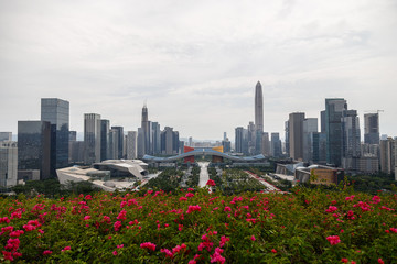 Fototapeta na wymiar View of the metropolis from the hill