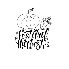 Obraz premium Hand autumn lettering Harvest Festival with pumpkin and corn drawing. Modern brush calligraphy. Handwritten vector illustration isolated on white background for cards, posters, banners, logo, tags.