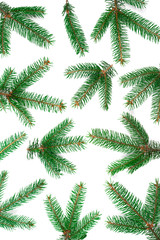 Christmas pattern fir branches