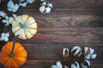 Pumpkins on a Dark Wood Background