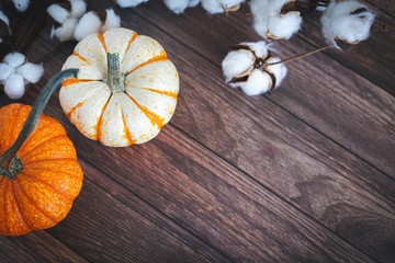 Pumpkins on a Dark Wood Background