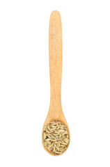 Dry fennel in spoon
