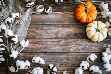 Pumpkins on a Dark Wood Background