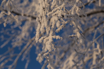 abstract winter background