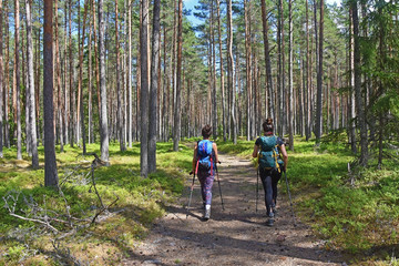 Obraz premium Two Women With Backpacks Trekking On Forest Path. They Enjoy Peaceful Hiking Through The Forest Path
