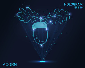 Hologram acorn. Holographic projection of an acorn with leaves. Flickering energy flux of particles. Scientific design of nature. © newrossosh