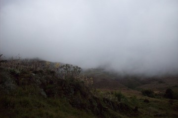 Neblina en el páramo 