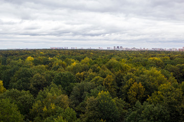 city behind the forest from bird's eye view