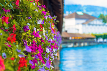 Lucerne / Switzerland. Colorful flowers at the Chapel Bridge (Kapellbrücke)