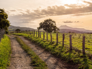Obraz premium Chemin entre colline du pays basque