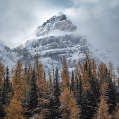 Hiking in Larch Valley with a fresh coat of snow, Banff National Park, Alberta, Canada