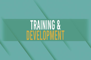 Obraz premium Handwriting text writing Training And Development. Conceptual photo learn specific knowledge to improve perforanalysisce Repetition of Diagonal Shadowed Stripes. Slanting Shaded Lines Pattern