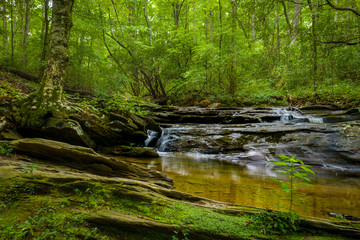 Fototapeta premium Summer view of a forest waterfall