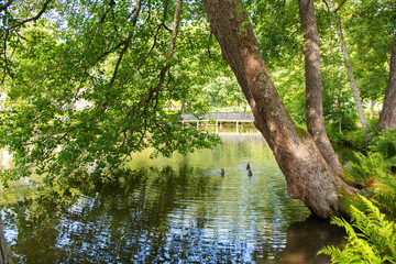 View of the Fiskars river and village in summer, beautiful tree, branches and reflection, Finland
