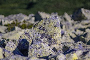 Fototapeta na wymiar Stones overgrown with lichen
