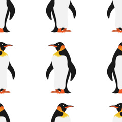 Emperor Penguin Bird from Antarctica walking seamless pattern Cartoon Vector