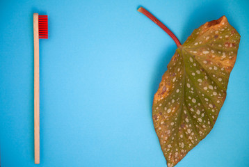 Eco bamboo organic toothbrush on a blue colored bristles background. top view, top view. The concept of environmental protection, environment, zero, zero plastic,