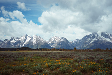 Fototapeta premium Grand Teton National Park