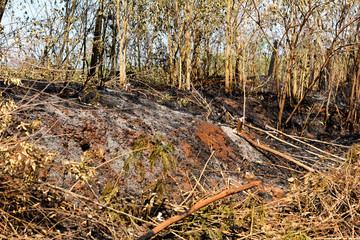 Field fire - Burnt dry grass - Straw burning in Brazil.