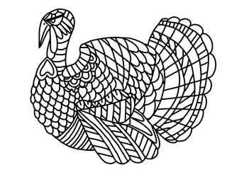 Black outline bird on white background. Turkey bird coloring book page. Thanksgiving day's children cartoon coloring page. One of a series.