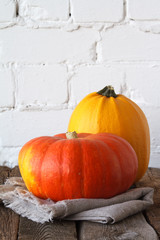 Close-up autumn pumpkins on thanksgiving table, white brick backdrop, selective focus