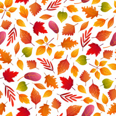 Autumn season seamless pattern.