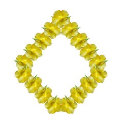 nature pattern design for home clothes and home wall