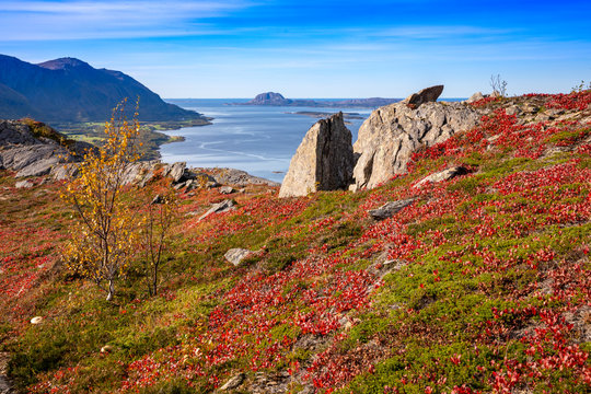 Autumn walk in the mountains in Northern Norway