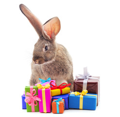 One brown rabbit with gifts.