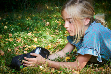 Child cute girl playing with pet guinea pig outdoors on green grass